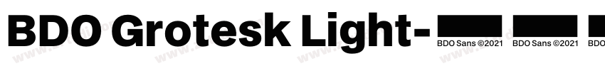 BDO Grotesk Light字体转换